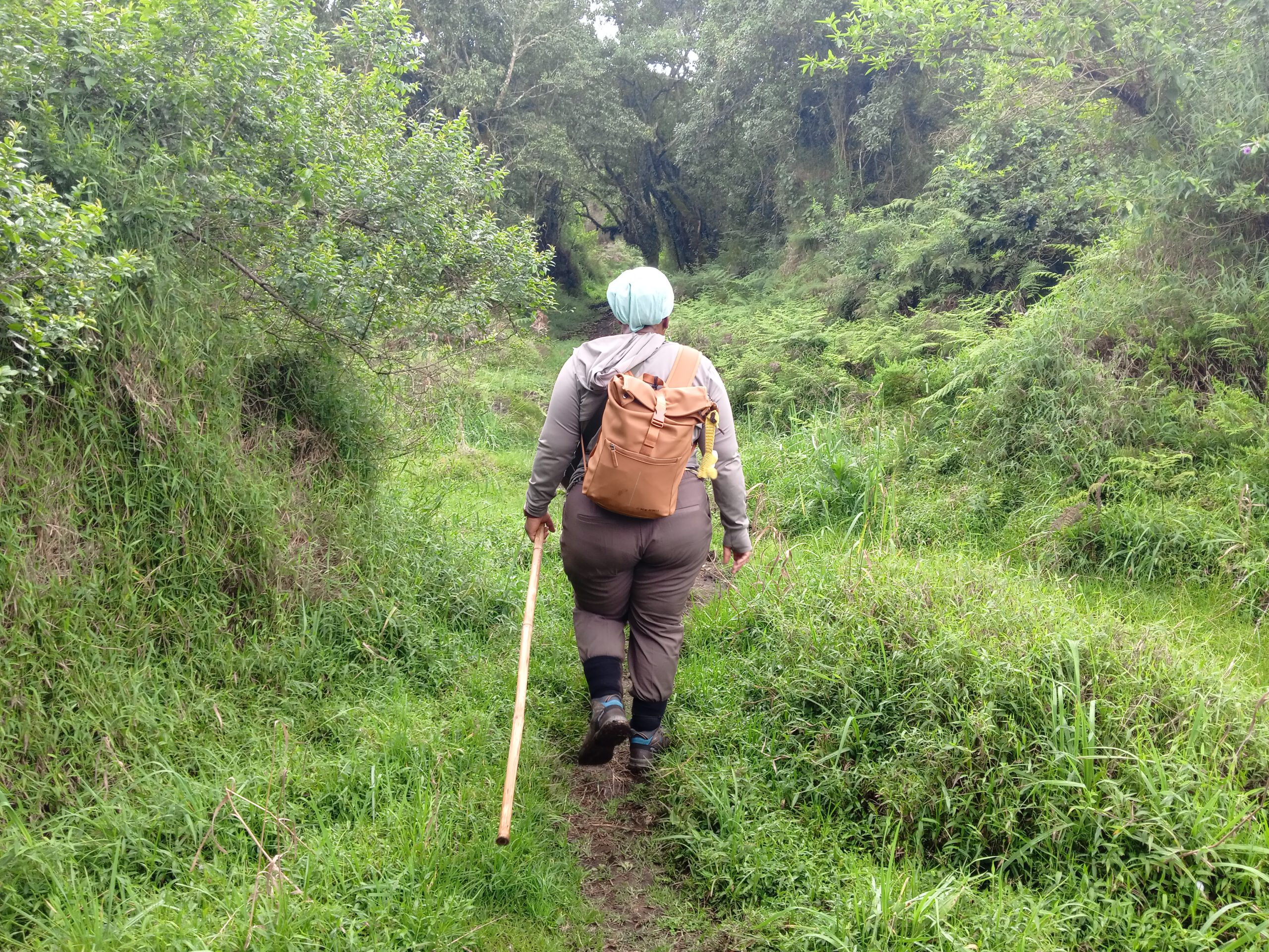A peaceful walk in nature